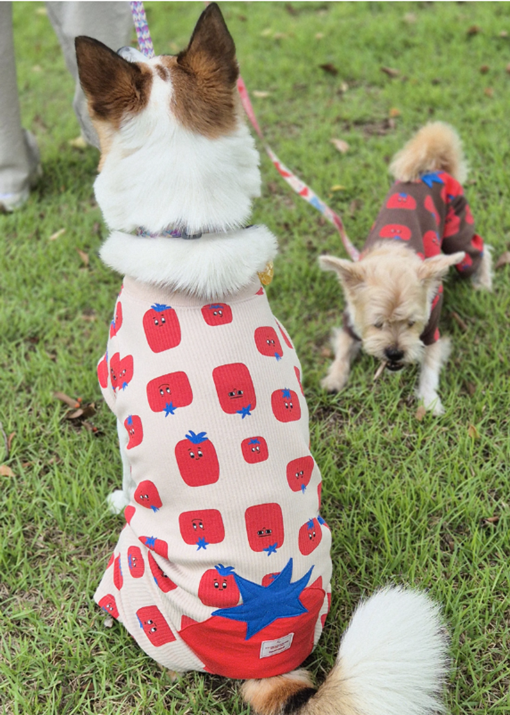 螢幕擷取畫面 2025-11-17 150313