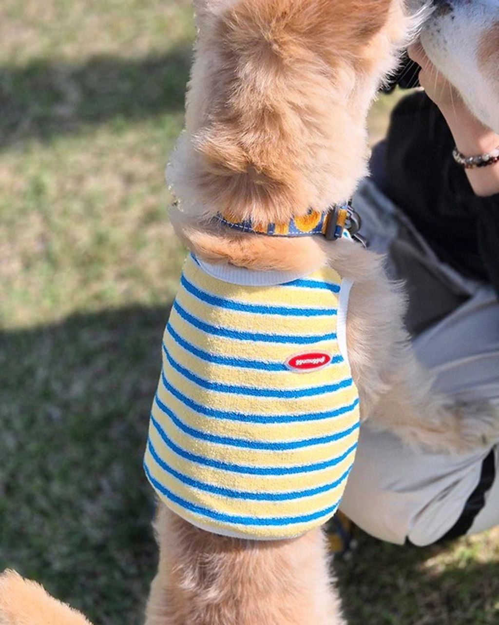 imgi_87_a4ac4dc6d3c54332dd4a256066e7a6d7_f02e4f50-25d1-42c5-b46a-37fe366ea898