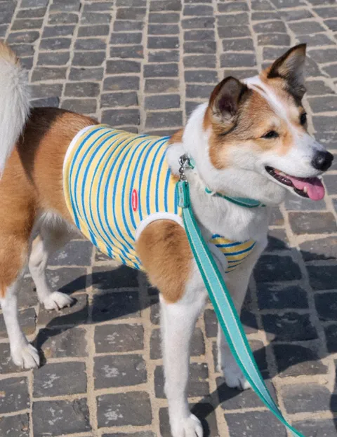 螢幕擷取畫面 2025-11-18 145934