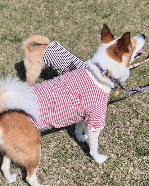 imgi_2_2f7a0df654c8413306eb5a5fe8ef7019