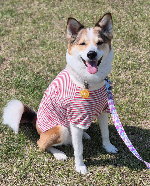 螢幕擷取畫面 2025-11-18 155128