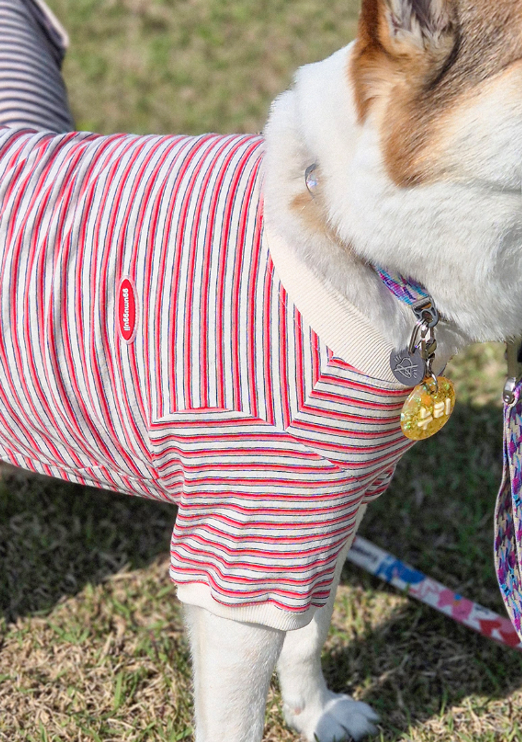 螢幕擷取畫面 2025-11-18 155705