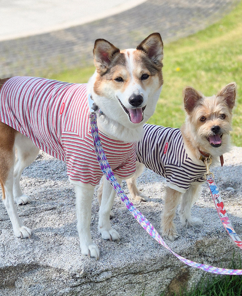 螢幕擷取畫面 2025-11-18 155139