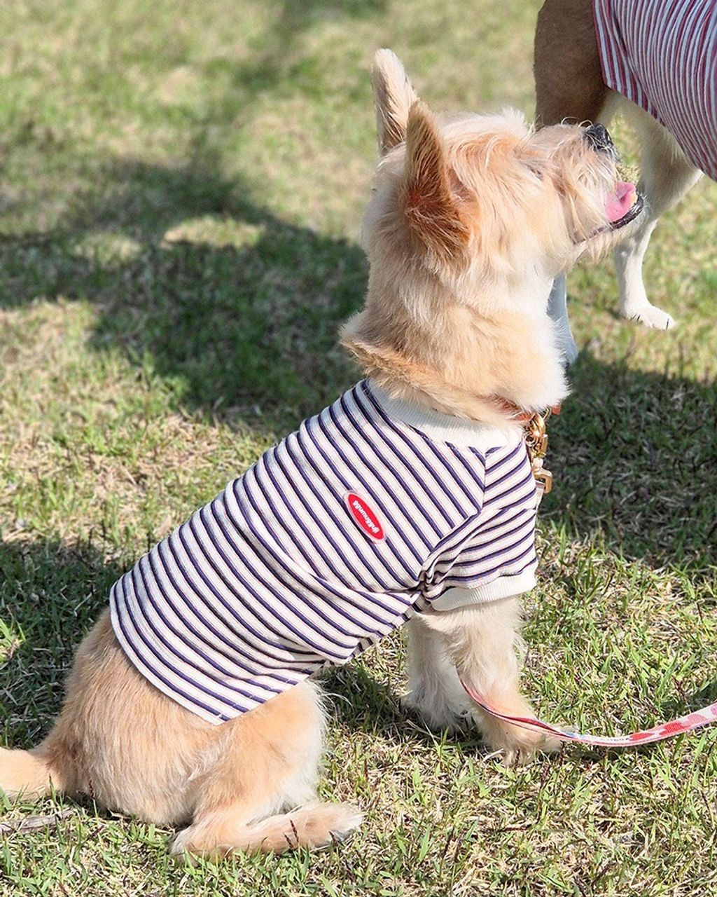 imgi_2_04440e2faa71e8613e2c603bf59b62b6