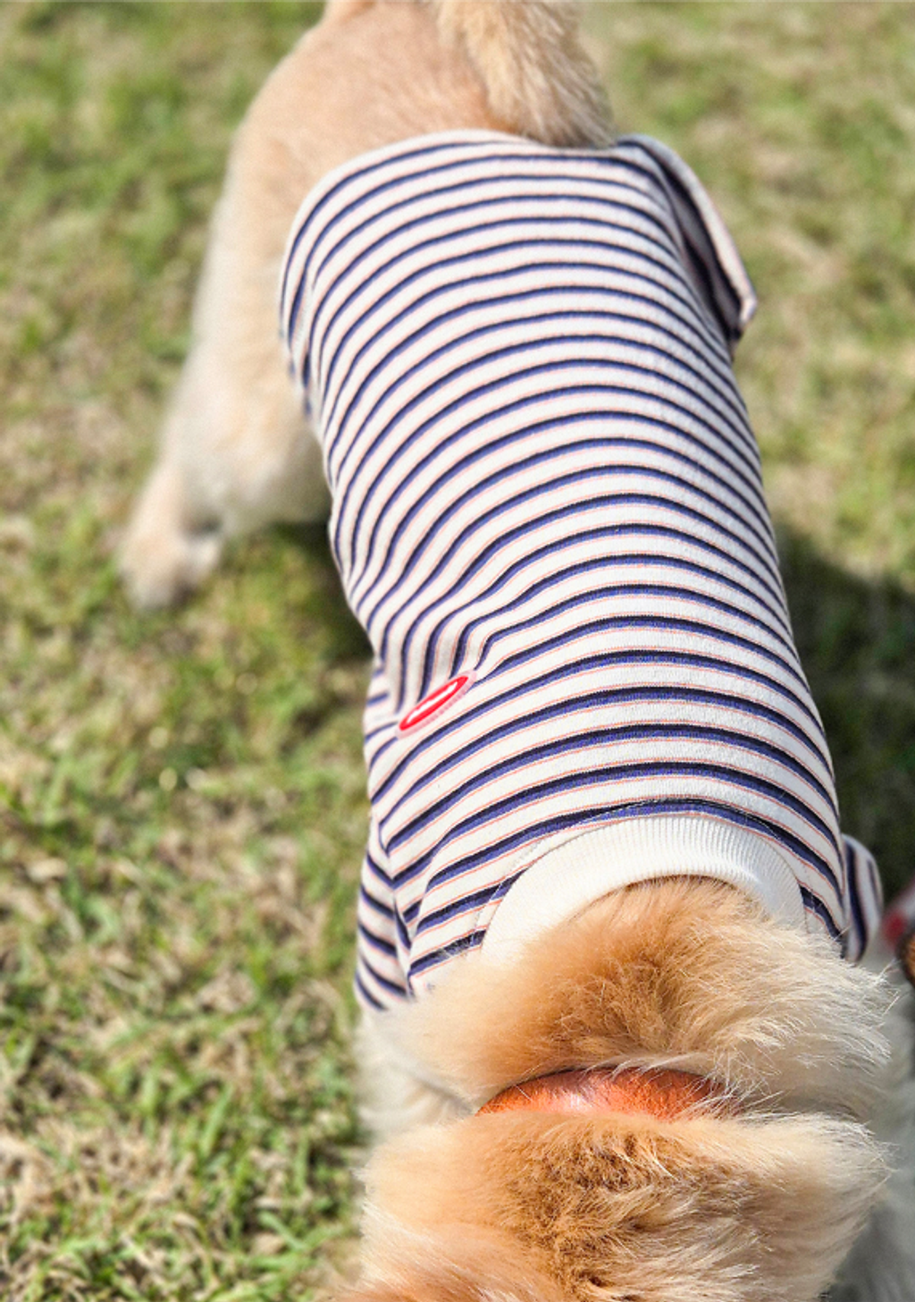 螢幕擷取畫面 2025-11-18 160604