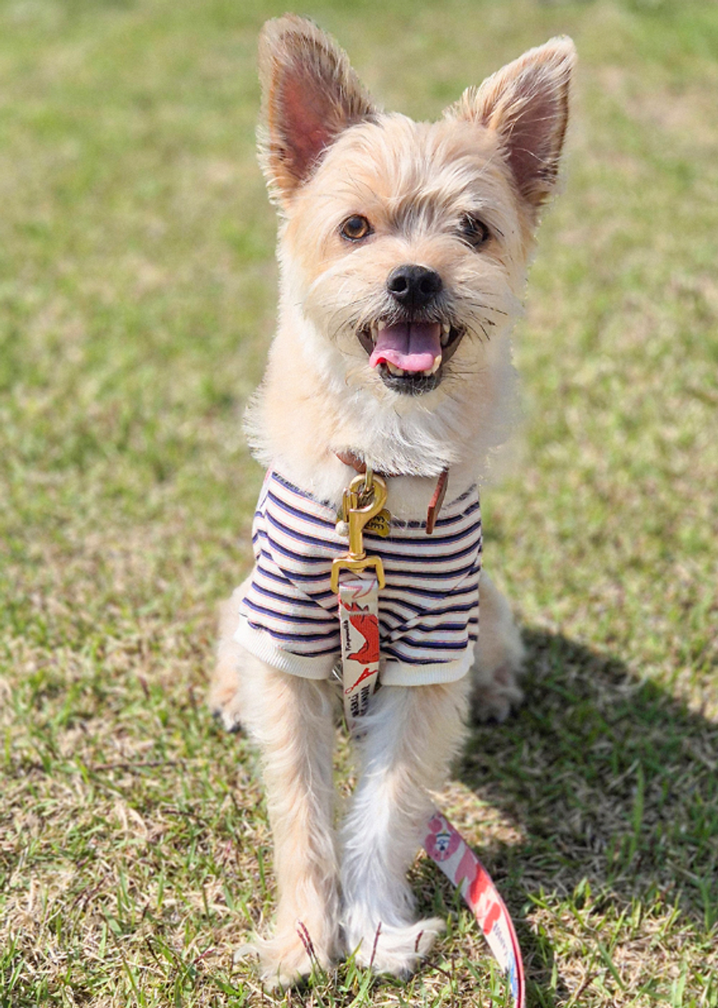 螢幕擷取畫面 2025-11-18 160556