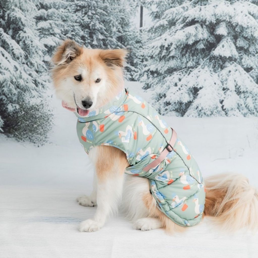 imgi_224_65b492f6e714e22742f9fd93111db087