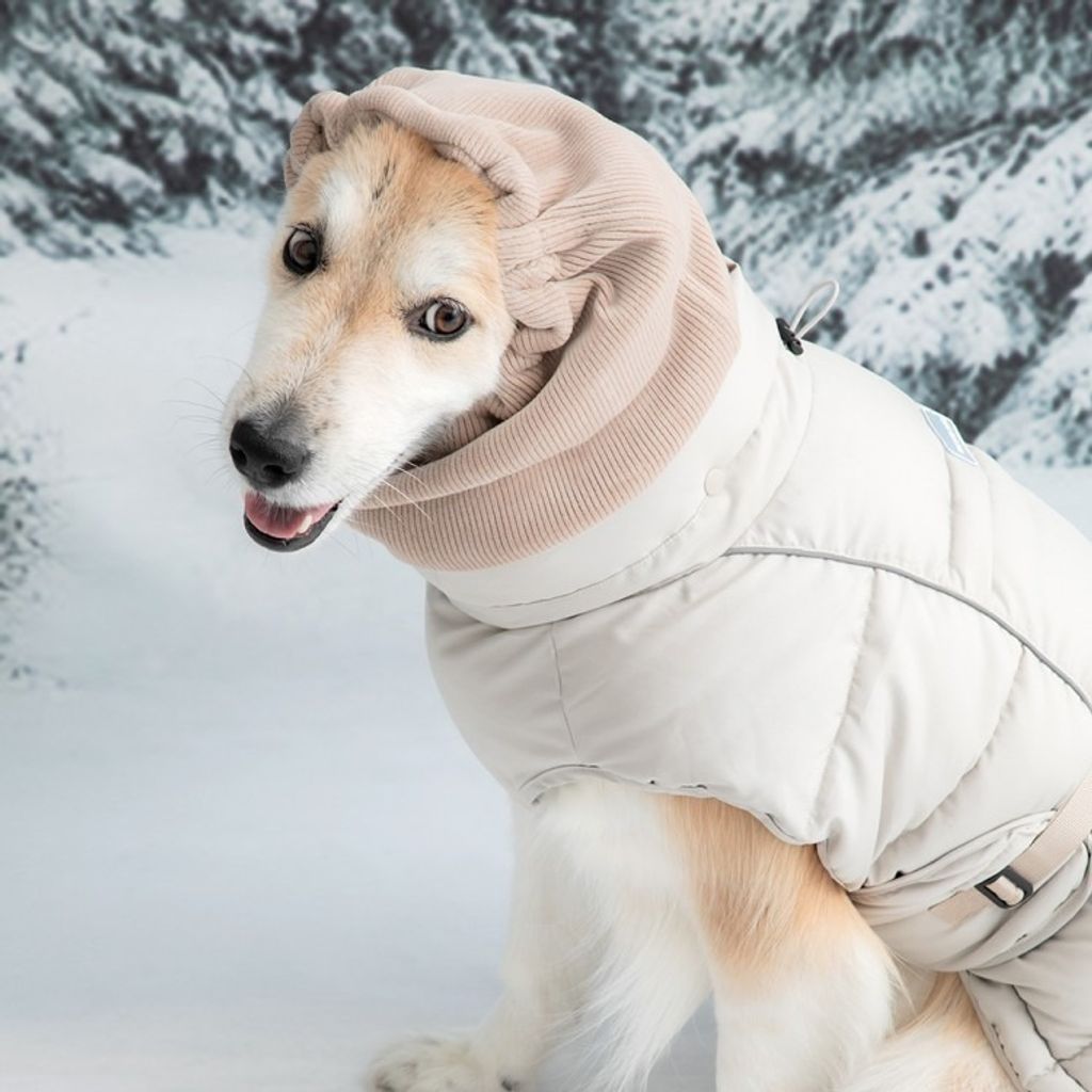 imgi_224_bd38ee4d7e2bc92878f9e31b585f49b3