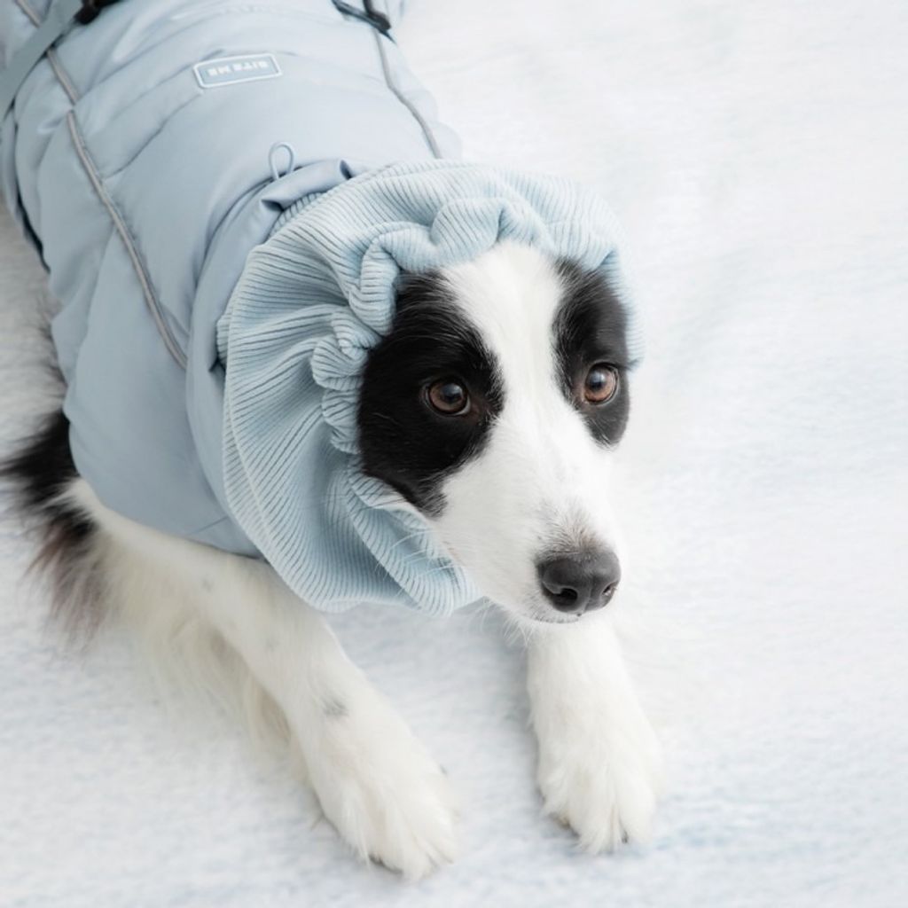 imgi_214_7cca8826e70b0a477f1703321b598974