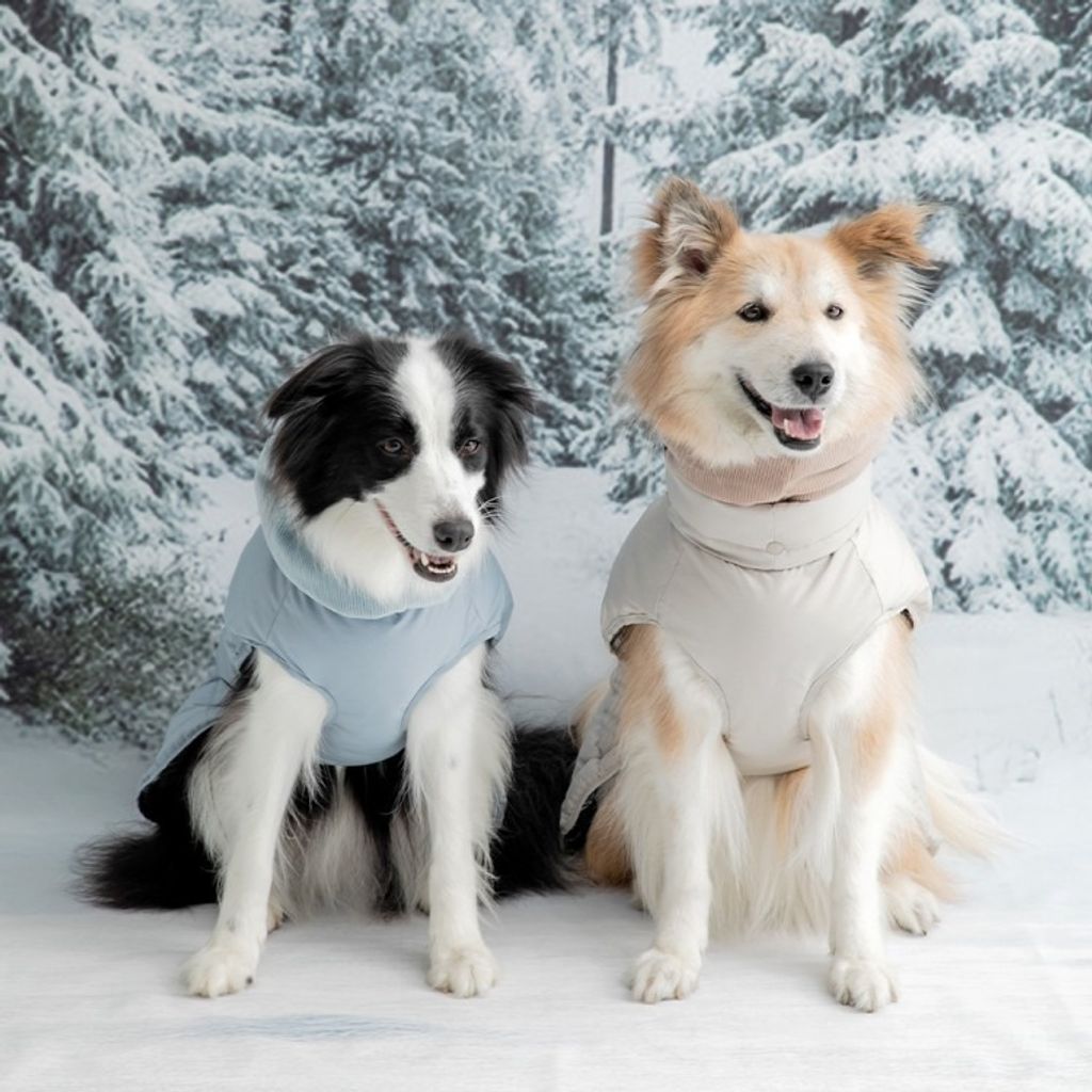 imgi_220_5d7db9708f436b1e17ffdcde50711be3