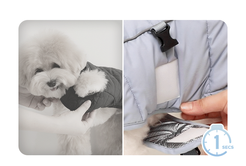 imgi_110_20250911150944360834991