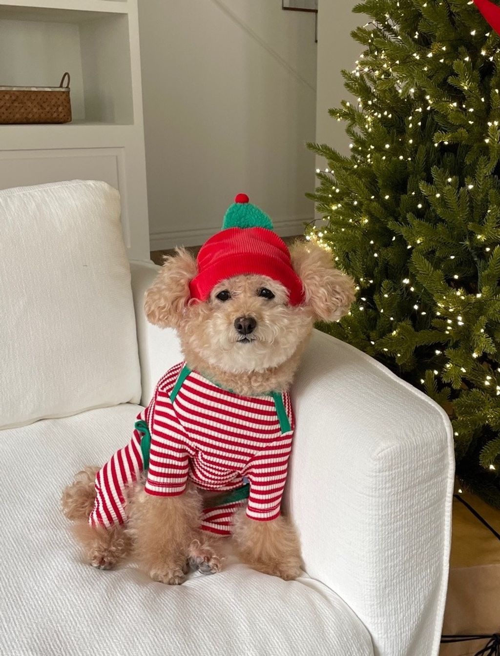 imgi_90_819070ccaebc5