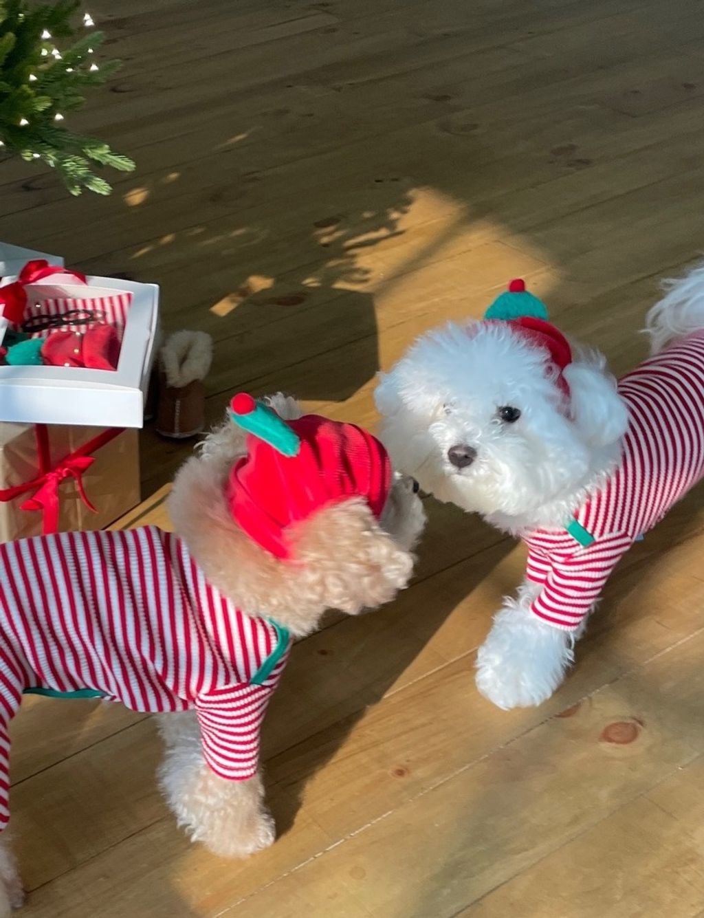 imgi_90_819070ccaebc5拷貝3