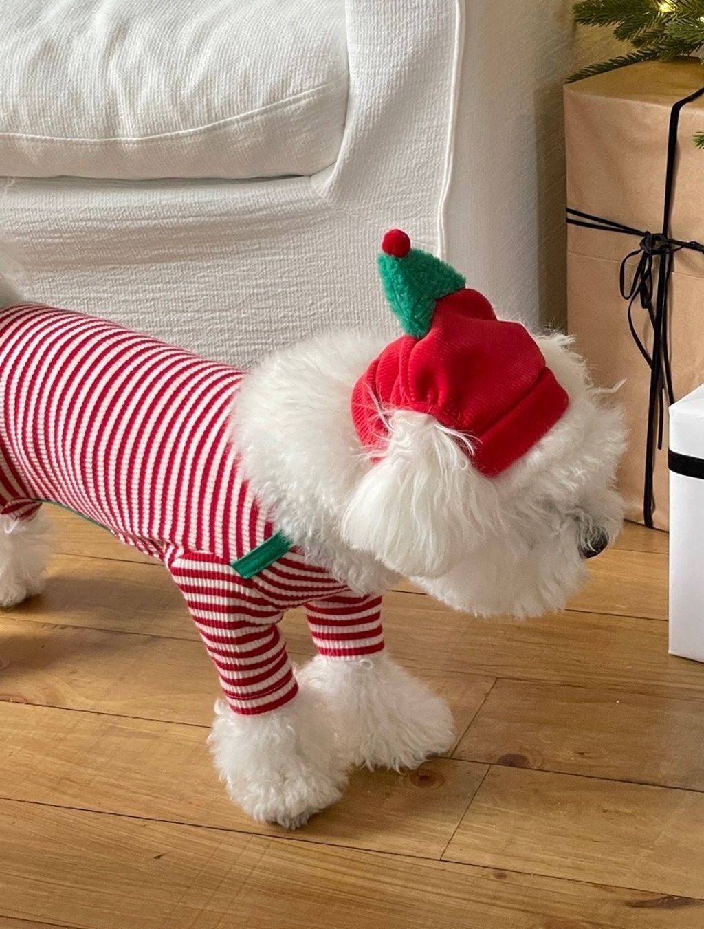 imgi_90_819070ccaebc5拷貝2