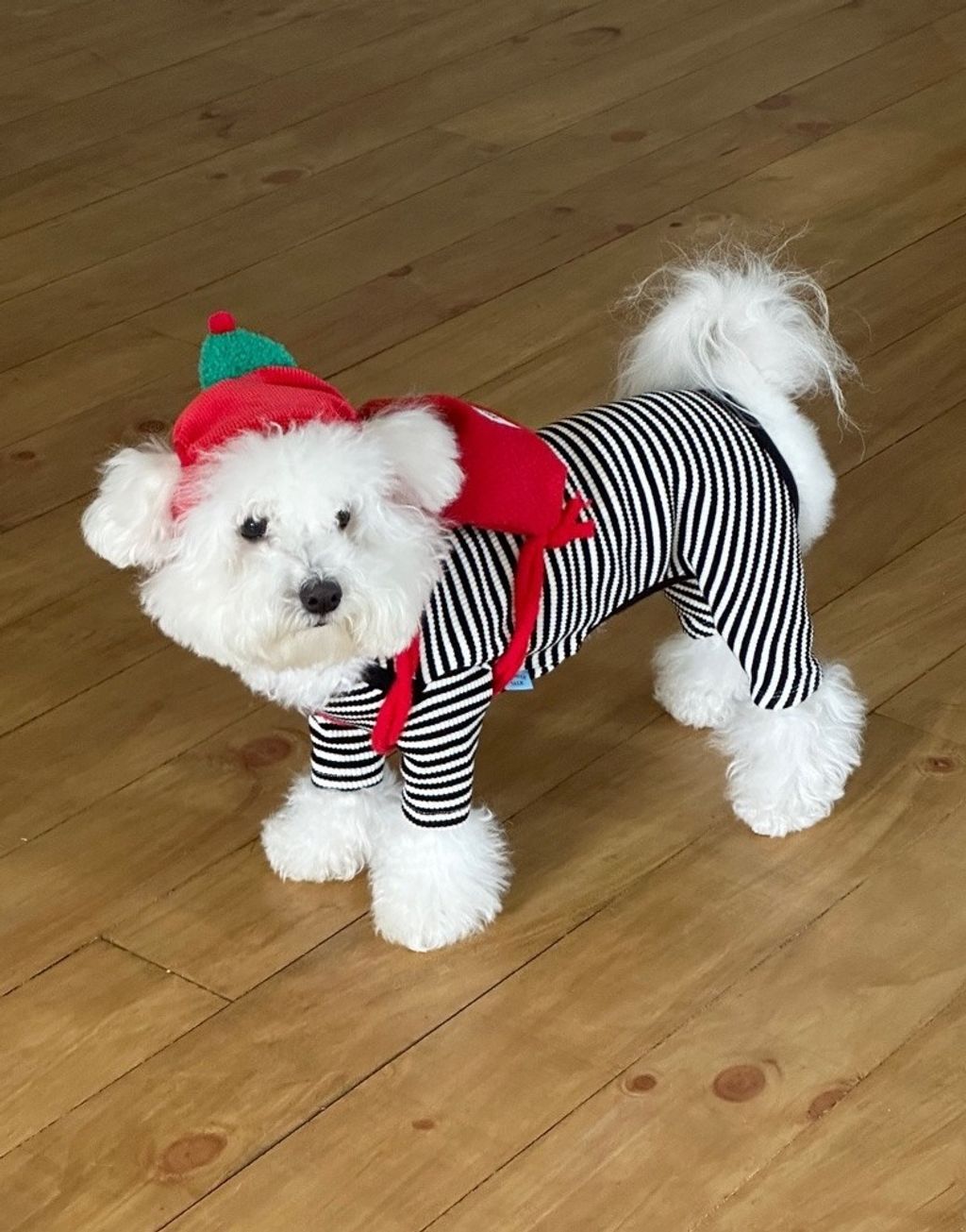 imgi_90_819070ccaebc5拷貝4