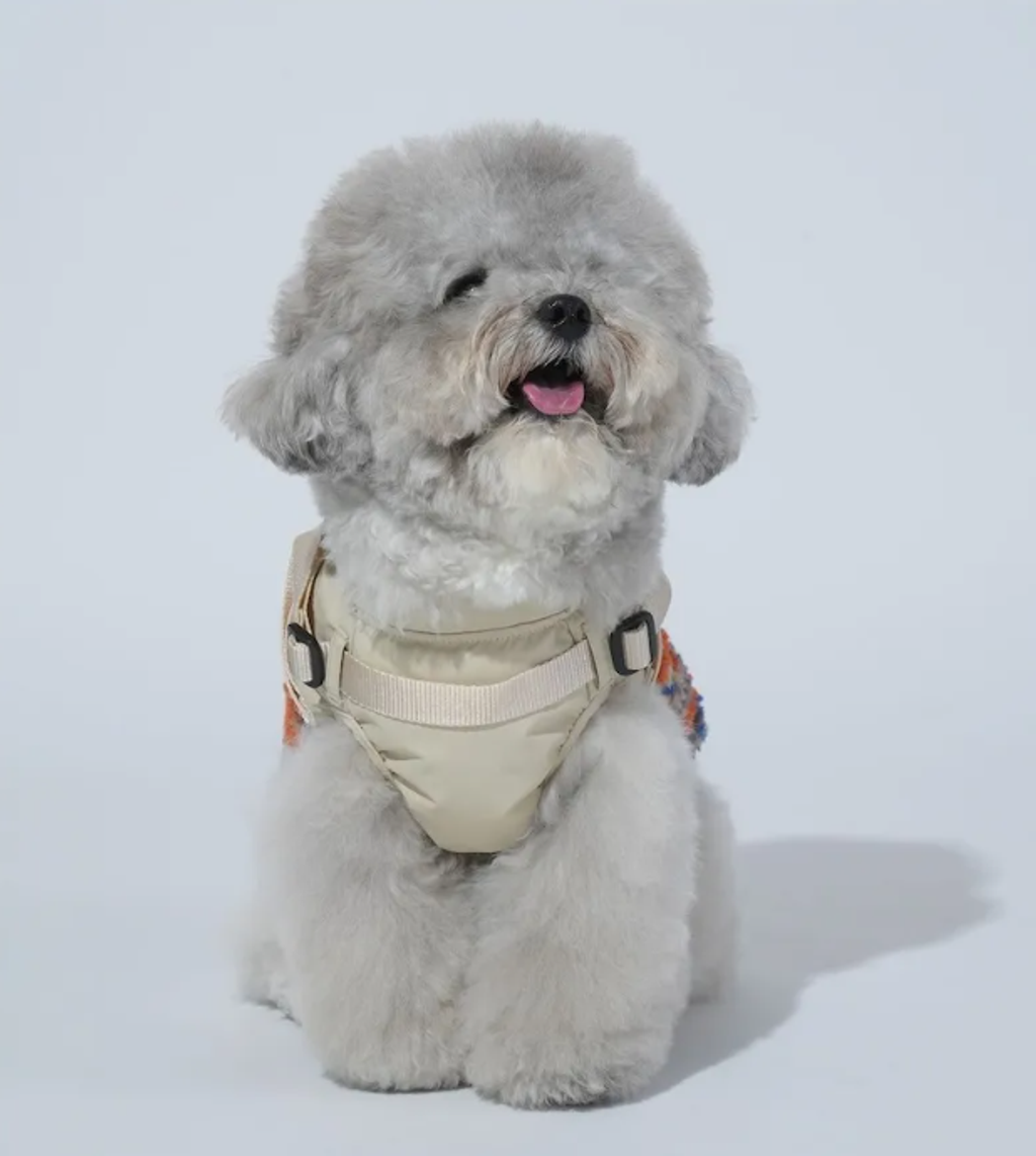 螢幕擷取畫面 2025-11-27 145510