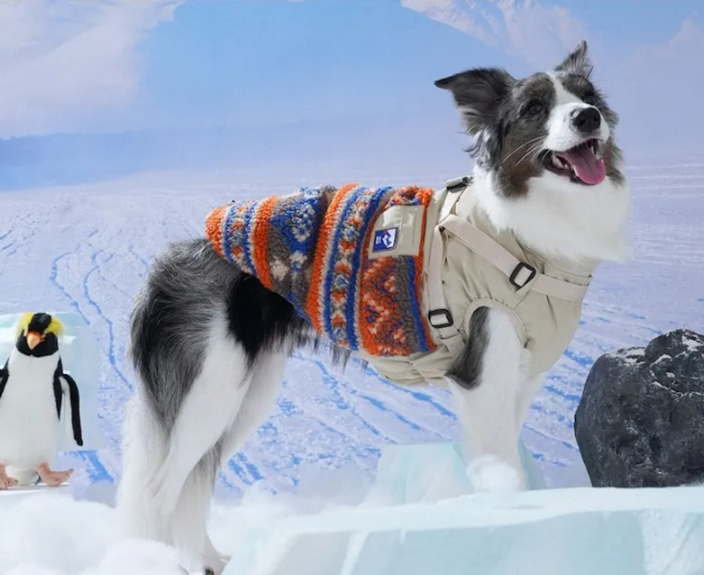 螢幕擷取畫面 2025-11-27 145550