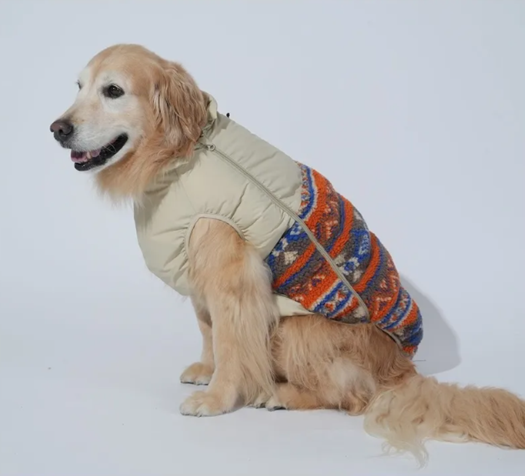 螢幕擷取畫面 2025-11-27 145603