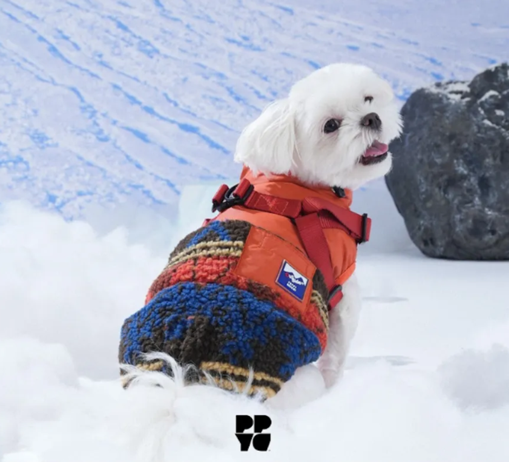 螢幕擷取畫面 2025-11-27 151140