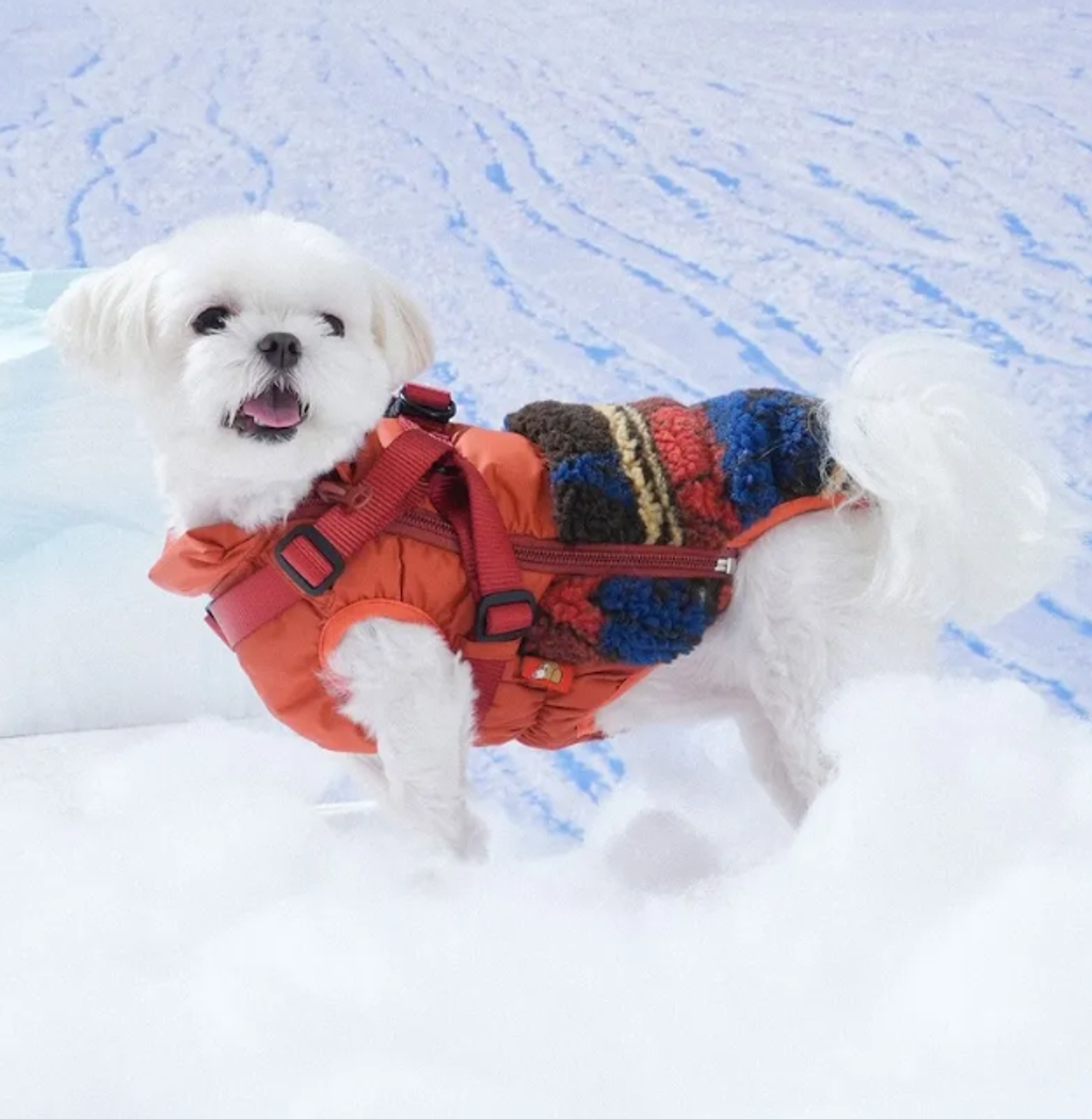 螢幕擷取畫面 2025-11-27 151157