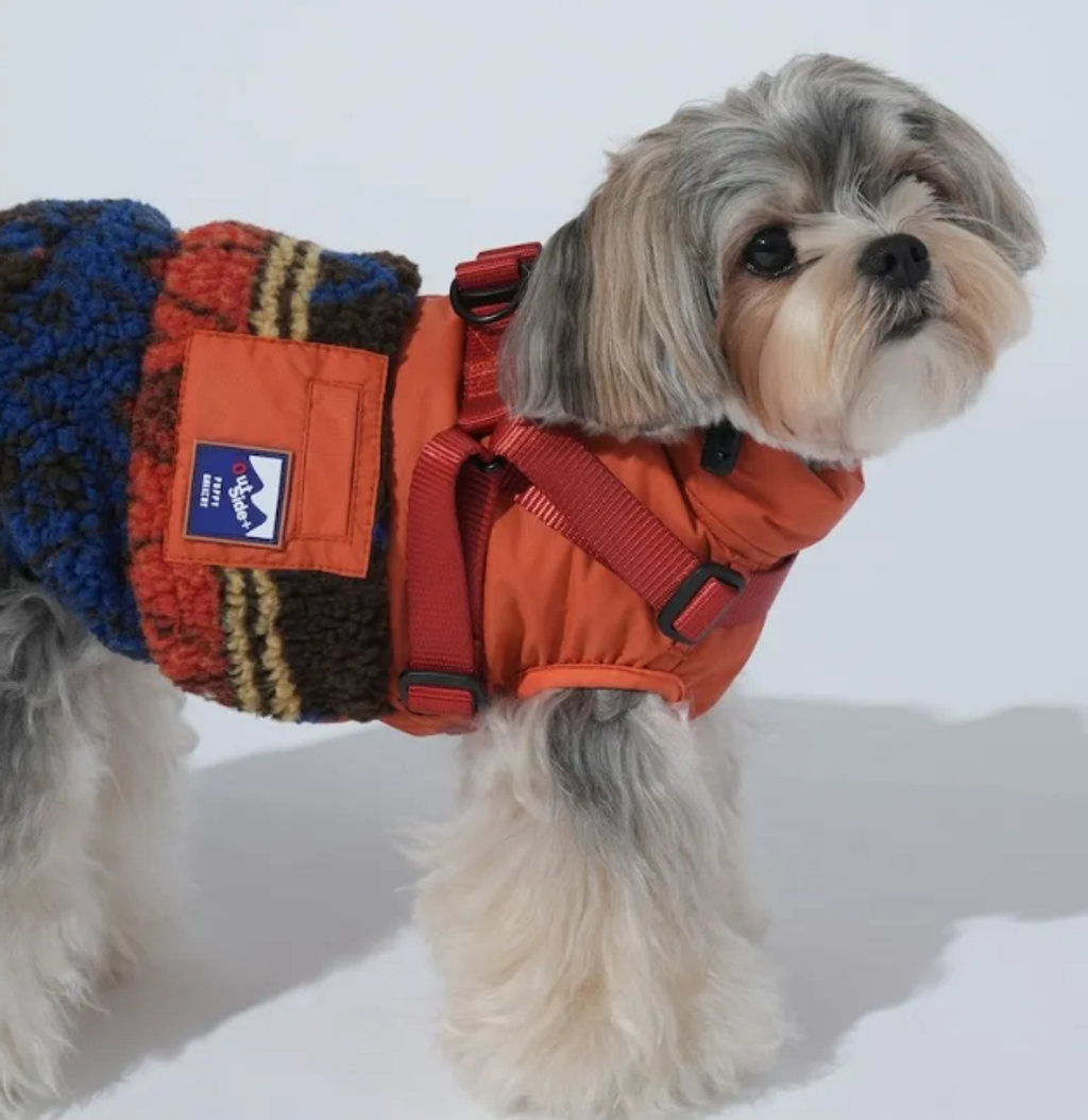 螢幕擷取畫面 2025-11-27 151205