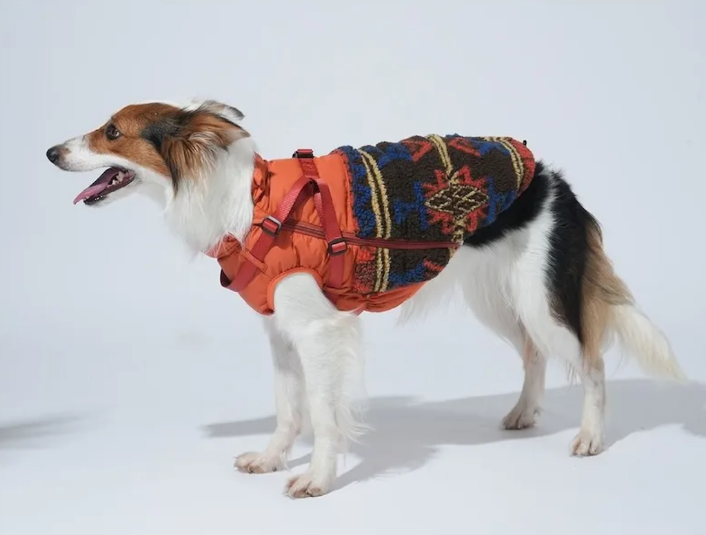 螢幕擷取畫面 2025-11-27 151242