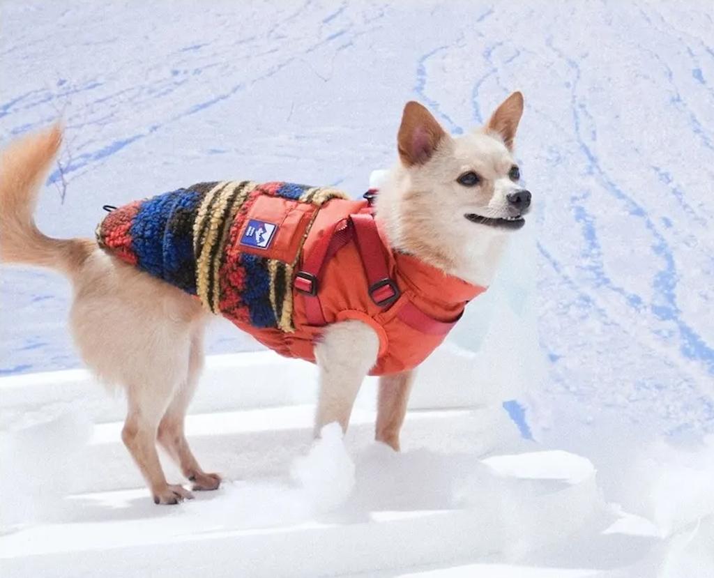 螢幕擷取畫面 2025-11-27 151258