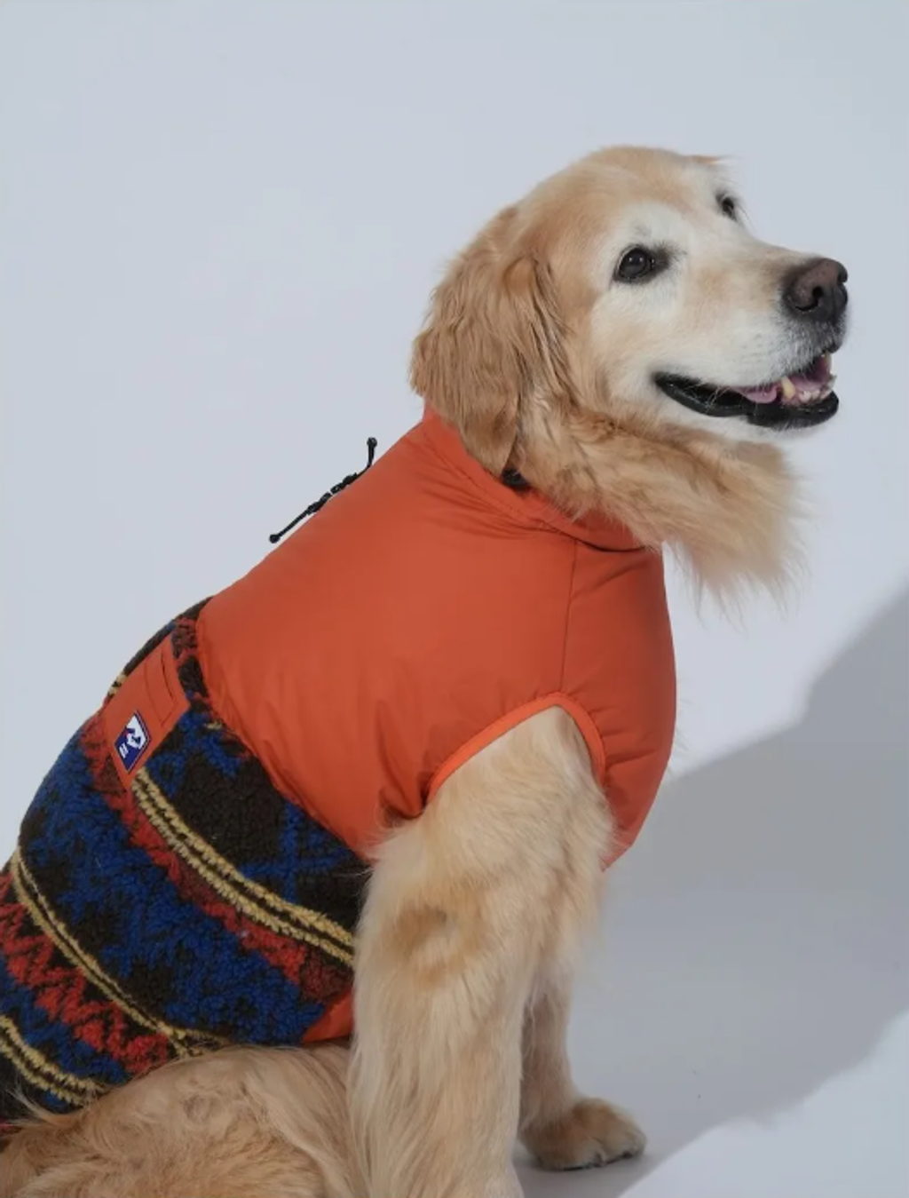 螢幕擷取畫面 2025-11-27 151329