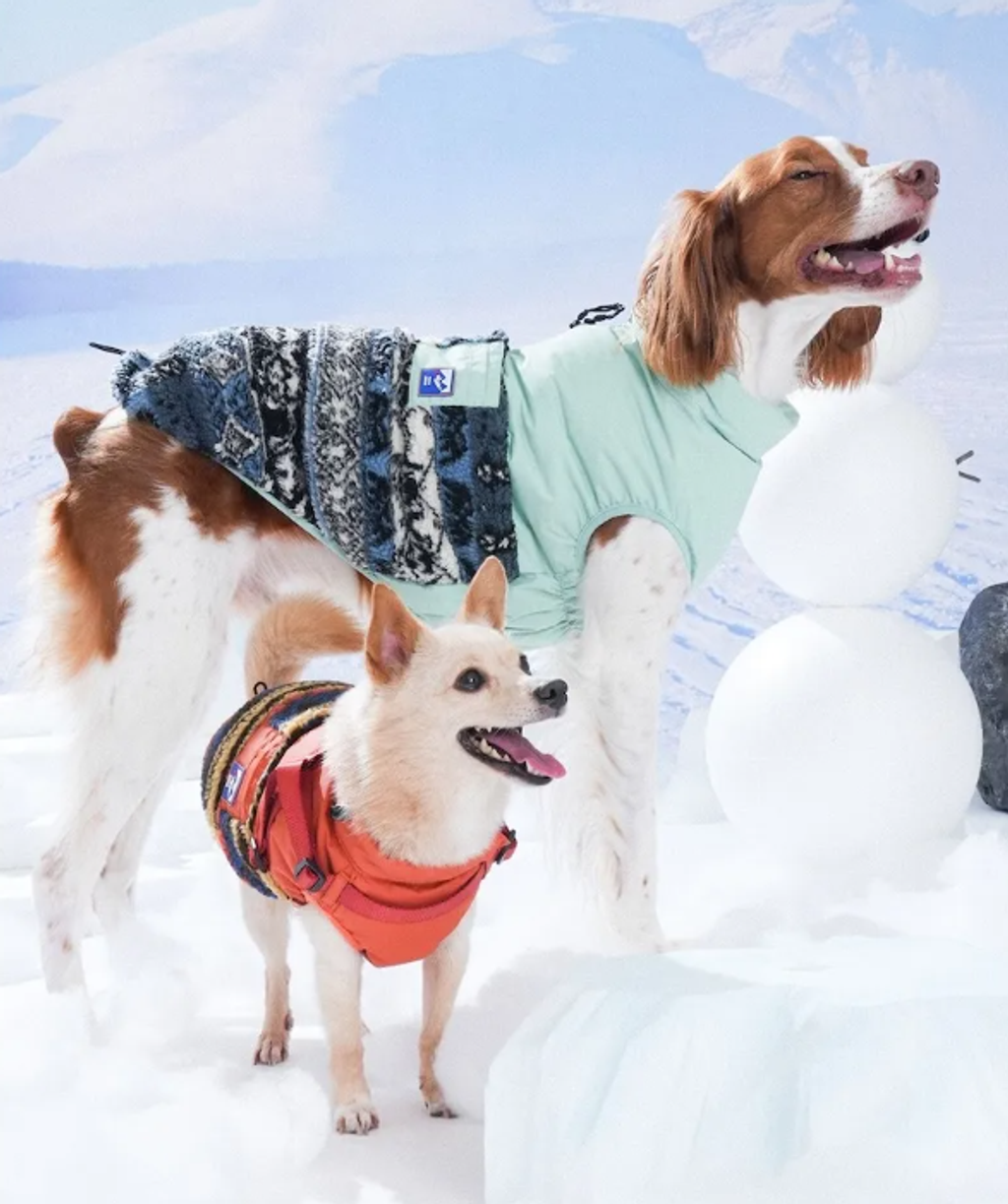 螢幕擷取畫面 2025-11-27 151311