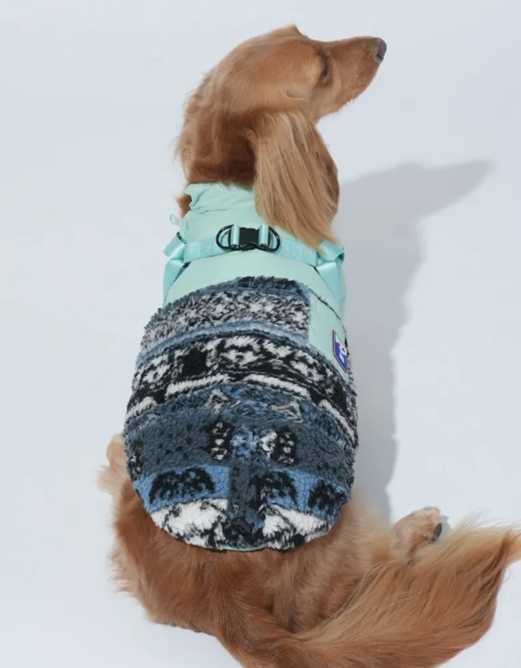 螢幕擷取畫面 2025-11-27 151900