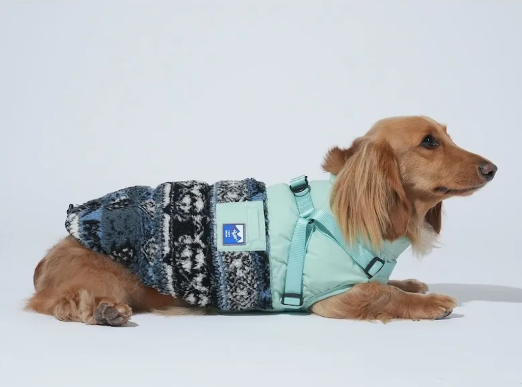 螢幕擷取畫面 2025-11-27 152024