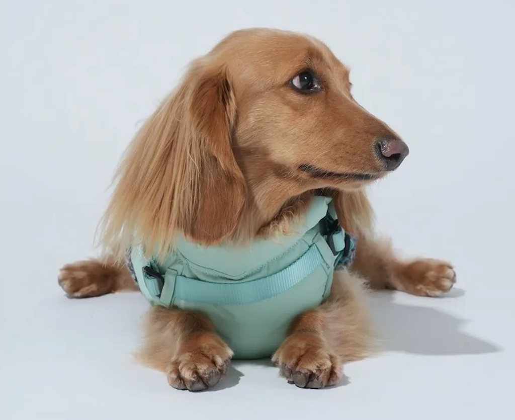 螢幕擷取畫面 2025-11-27 152106