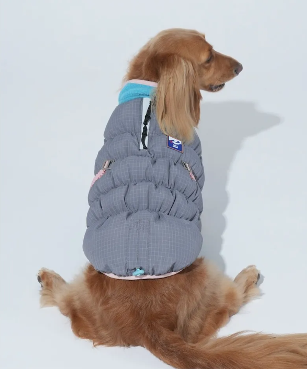 螢幕擷取畫面 2025-11-27 153236