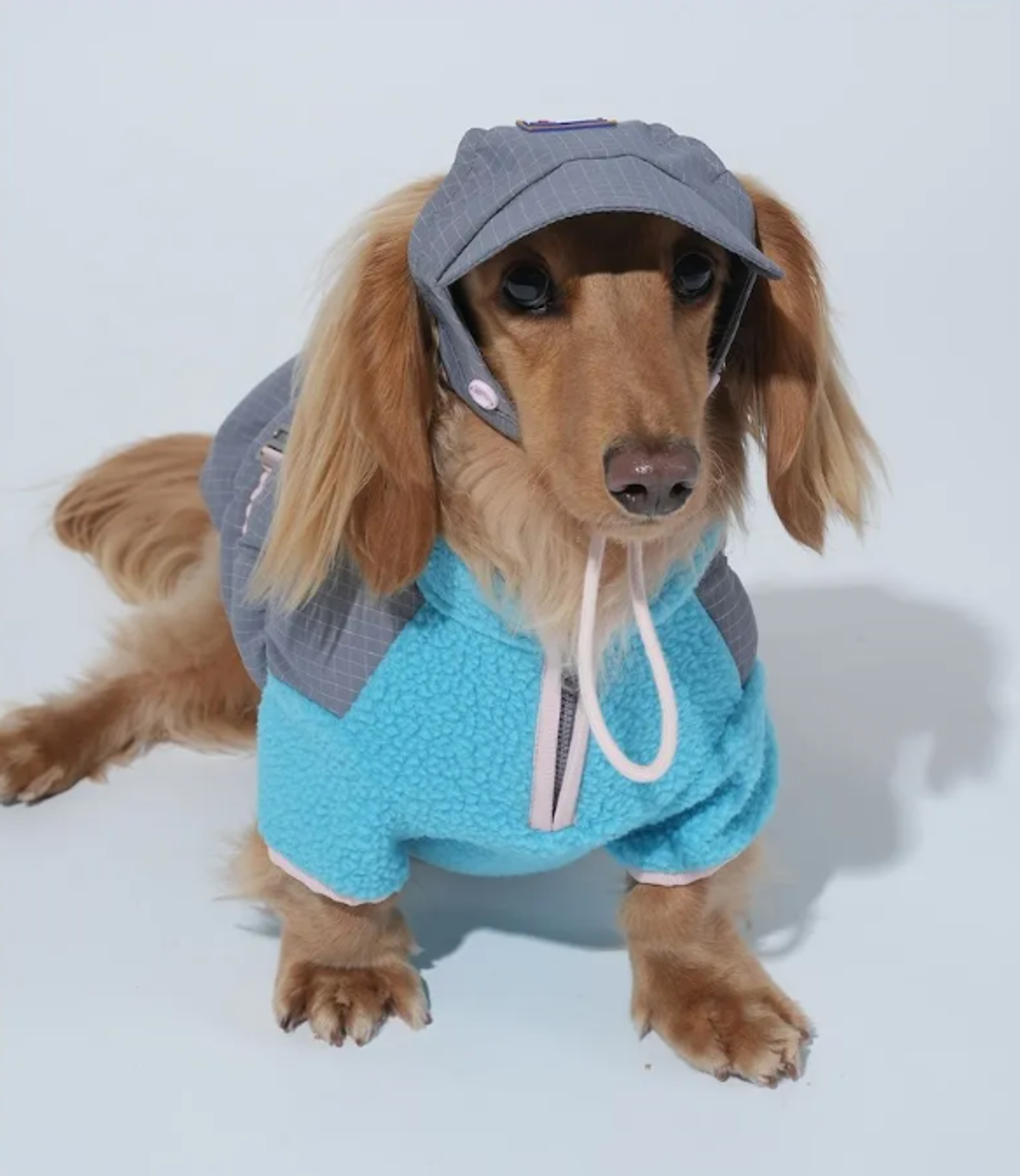 螢幕擷取畫面 2025-11-27 153229