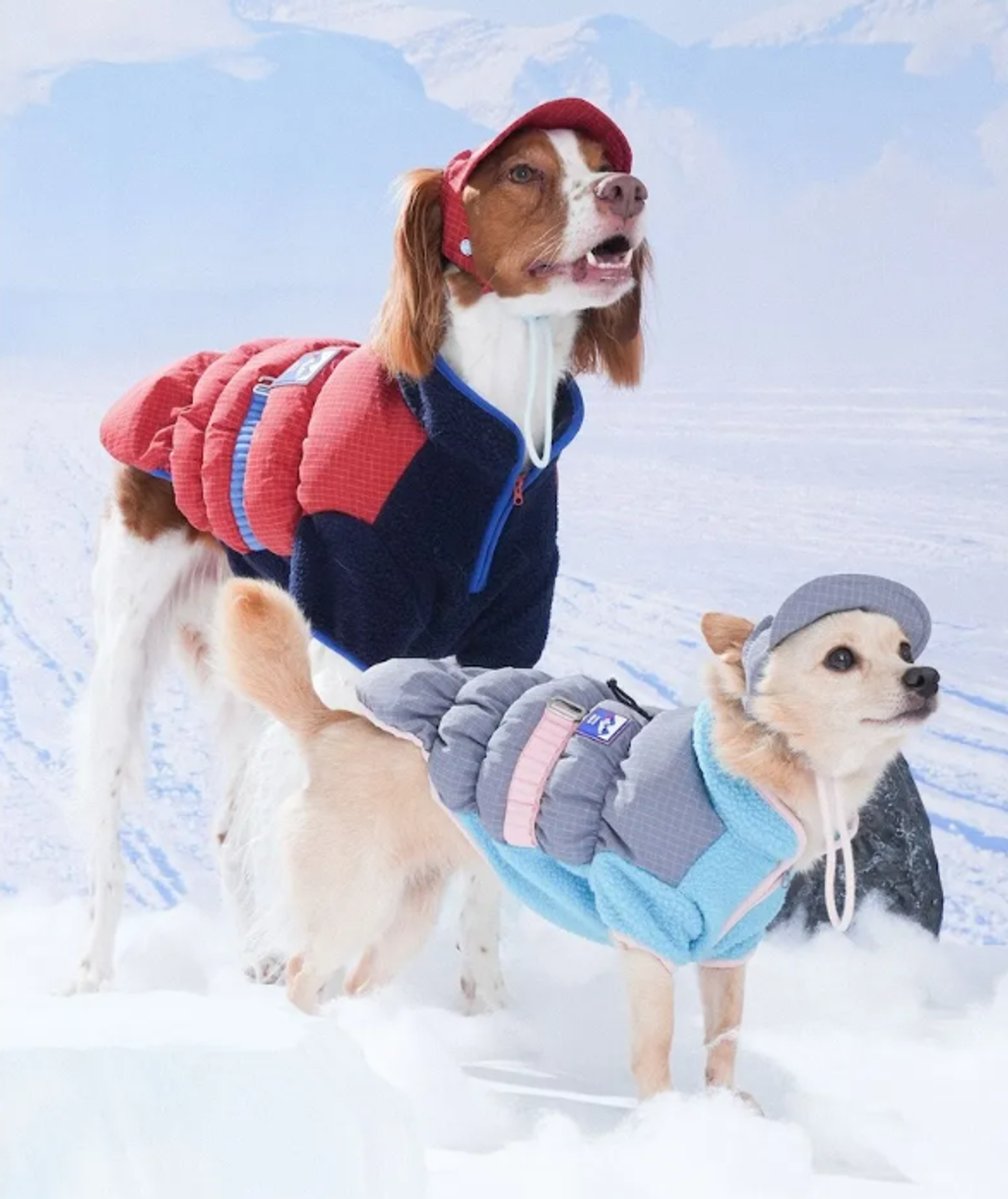 螢幕擷取畫面 2025-11-27 153220