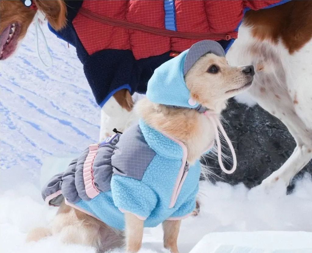 螢幕擷取畫面 2025-11-27 153207