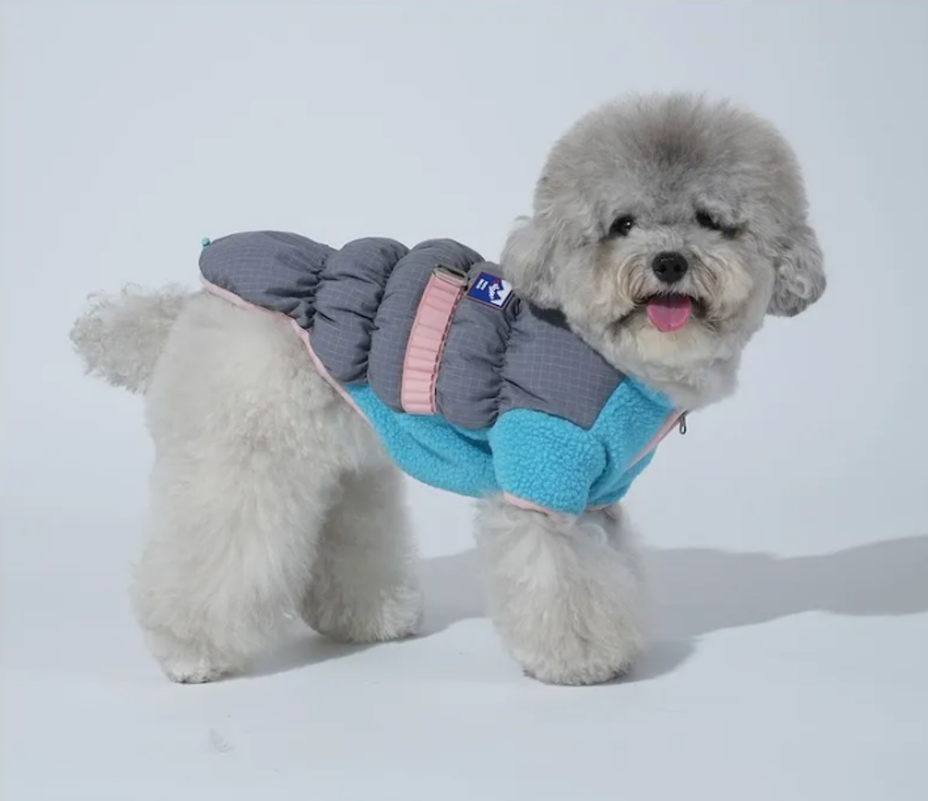 螢幕擷取畫面 2025-11-27 153144