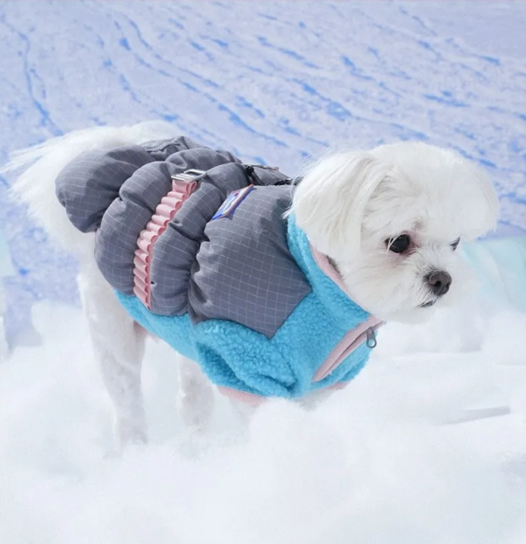 螢幕擷取畫面 2025-11-27 153059