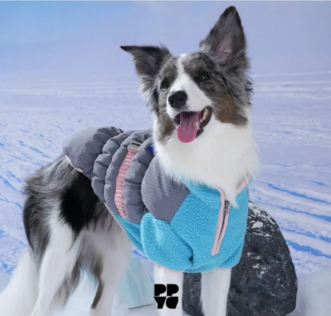 螢幕擷取畫面 2025-11-27 153048