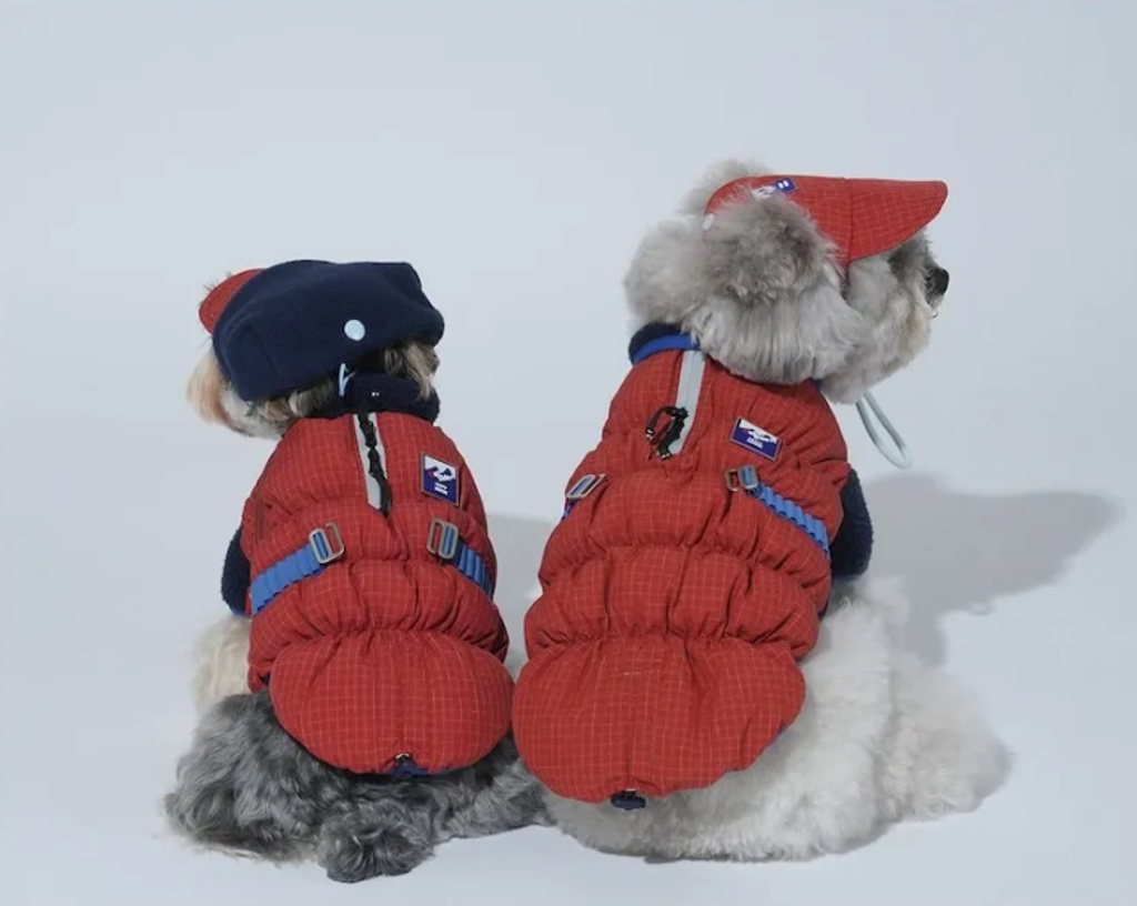 螢幕擷取畫面 2025-11-27 153156