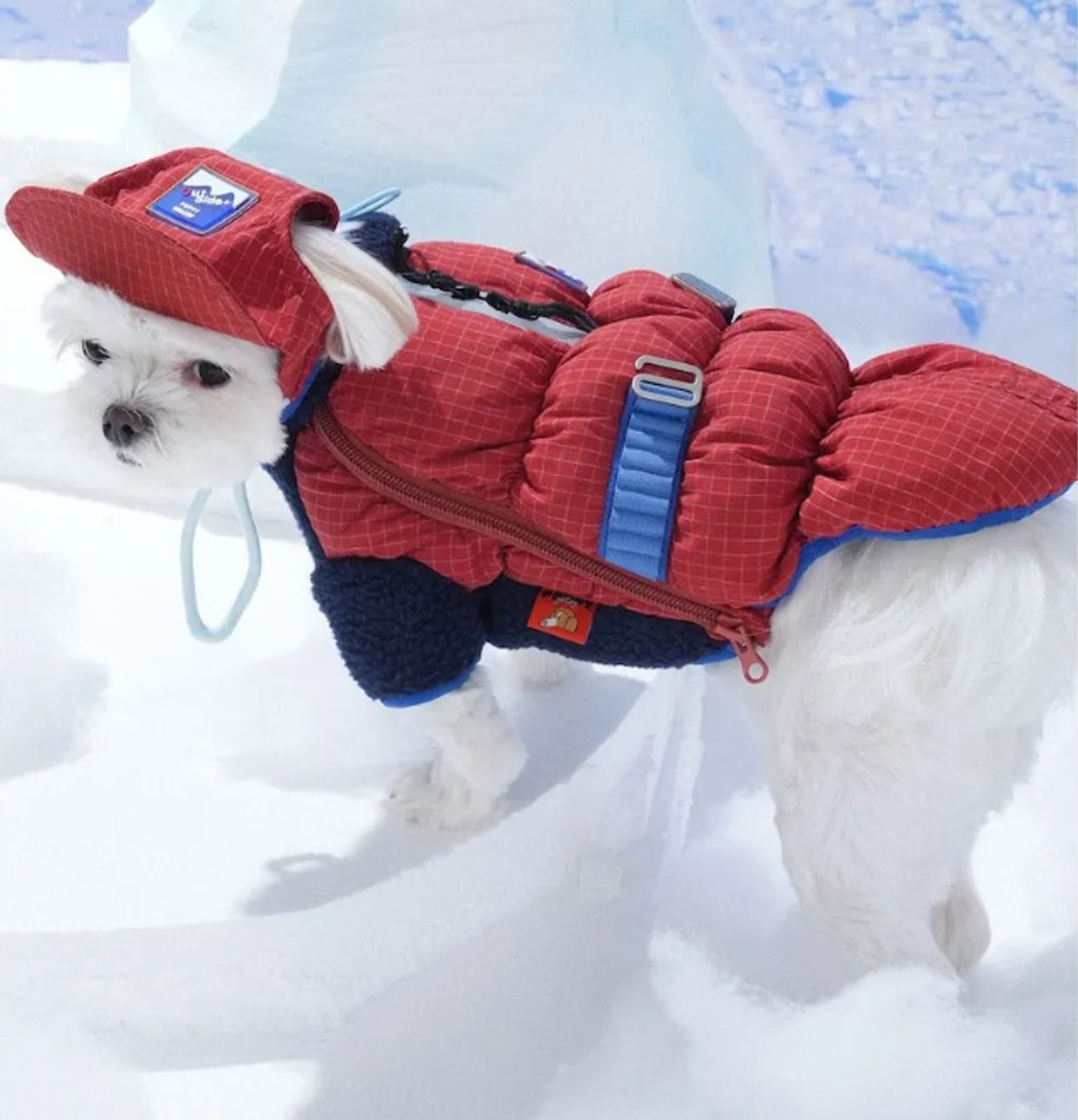 螢幕擷取畫面 2025-11-27 153109