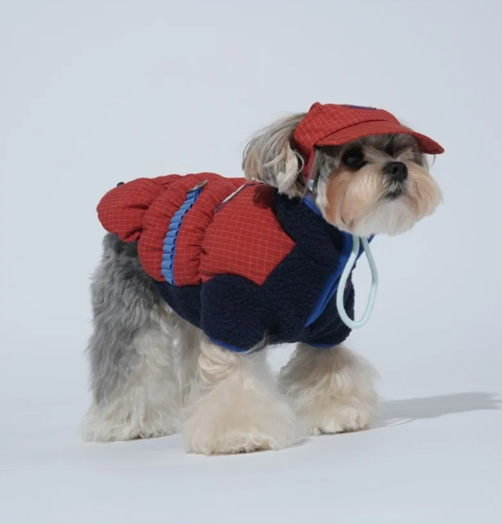 螢幕擷取畫面 2025-11-27 154722