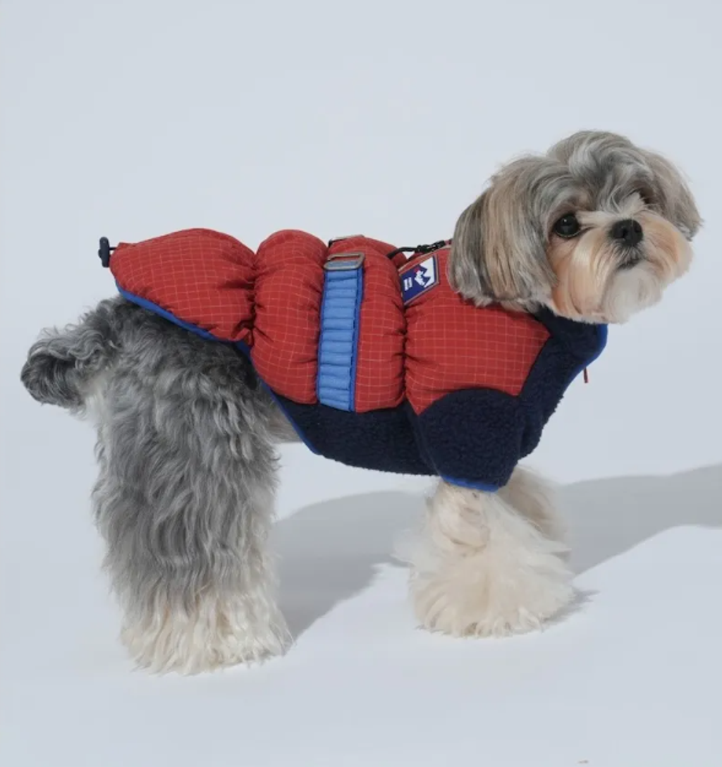 螢幕擷取畫面 2025-11-27 154715