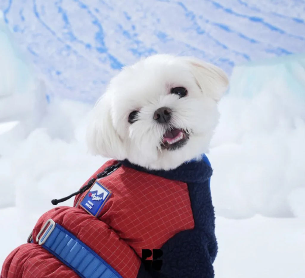 螢幕擷取畫面 2025-11-27 154704