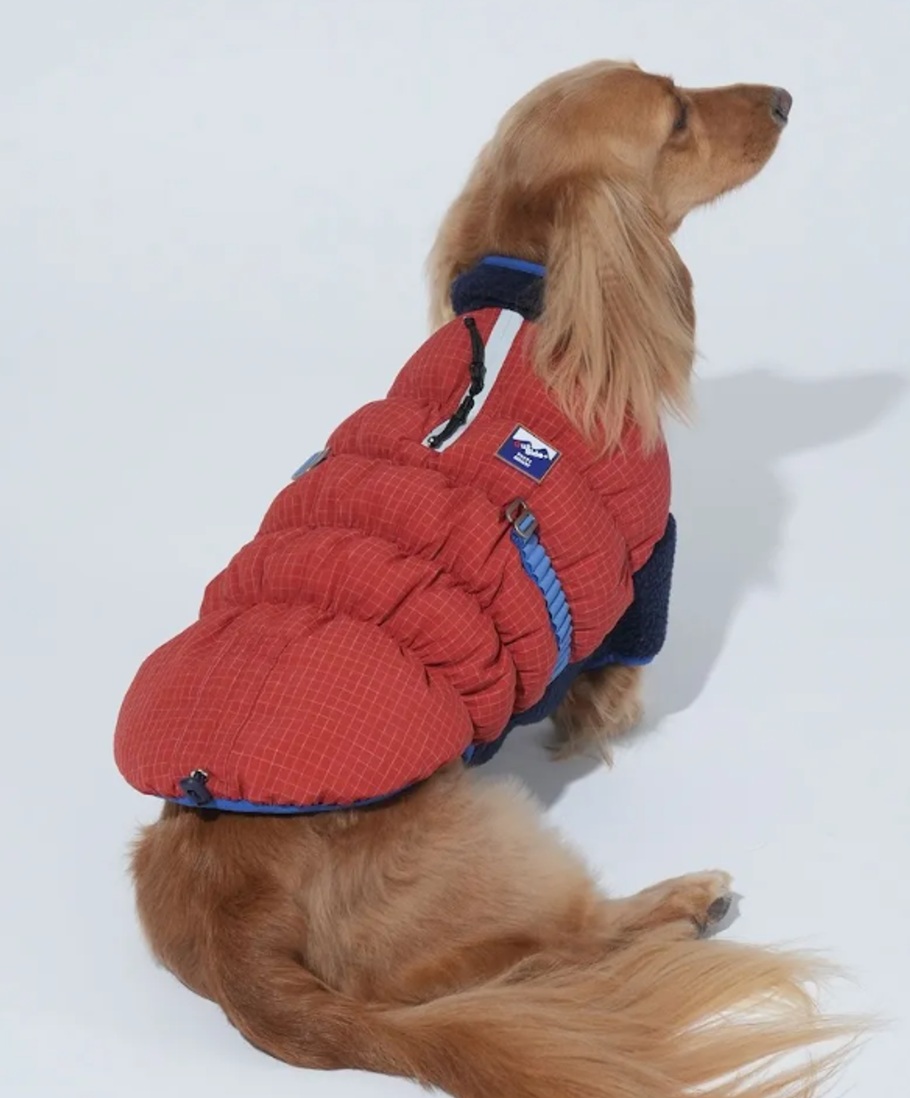 螢幕擷取畫面 2025-11-27 154828