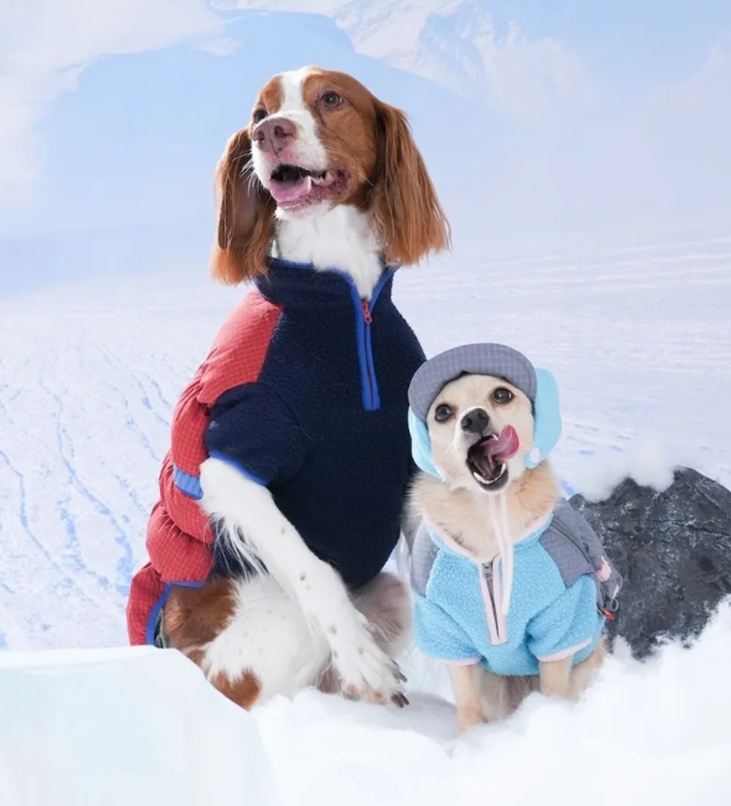 螢幕擷取畫面 2025-11-27 154925