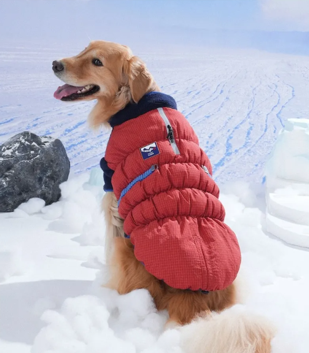 螢幕擷取畫面 2025-11-27 154959