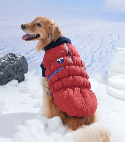 螢幕擷取畫面 2025-11-27 154959