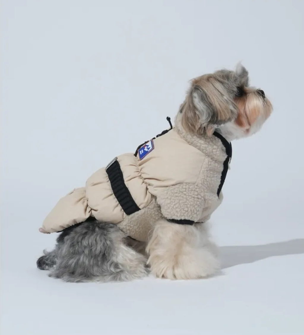 螢幕擷取畫面 2025-11-27 153123