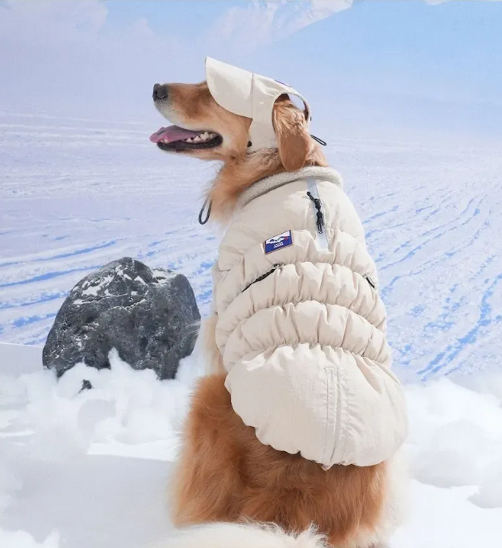 螢幕擷取畫面 2025-11-27 155715